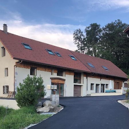 شقة T4 Meuble De 105M2 Axe Annecy-Geneve سا مارْتا بيلوفو المظهر الخارجي الصورة