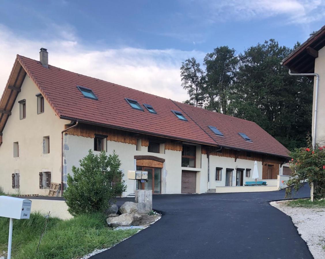 شقة T4 Meuble De 105M2 Axe Annecy-Geneve سا مارْتا بيلوفو المظهر الخارجي الصورة